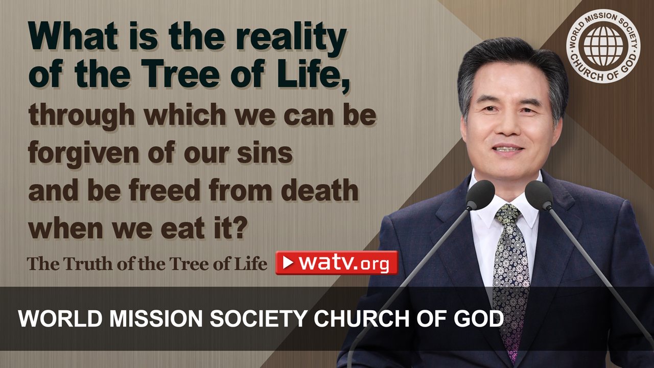 WATV Media Cast - World Mission Society Church of God